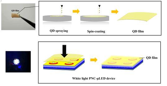 阳明交大团队半极化Micro LED技术获突破