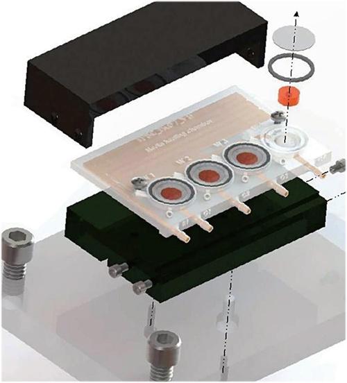 3D打印的生物反应器中可培育出微小大脑