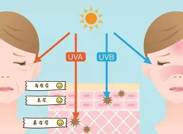 白露刚过，此时养颜重排毒，女人多吃这2种食物，或可滋养美白