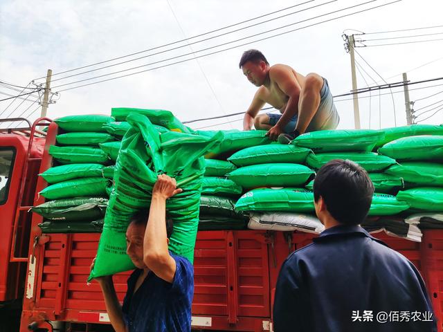 中国有最好的复合肥吗？农民在购肥过程中，如何擦亮眼睛不上当