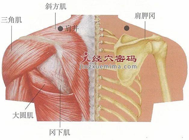 一个穴位疏通全身气血，疼痛去无踪！（收藏）