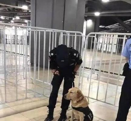 警犬在训练过程中，打起了瞌睡：不听不听，乌龟念经