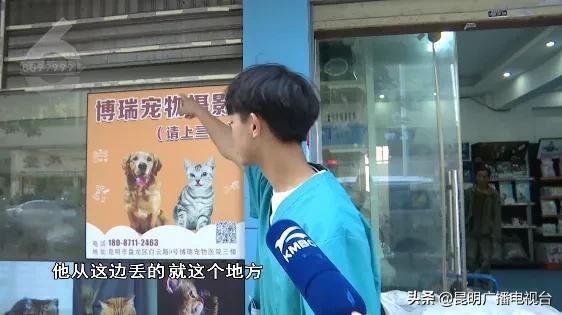 左右张望发现没人 他将小猫从2米高的通风口丢进宠物医院