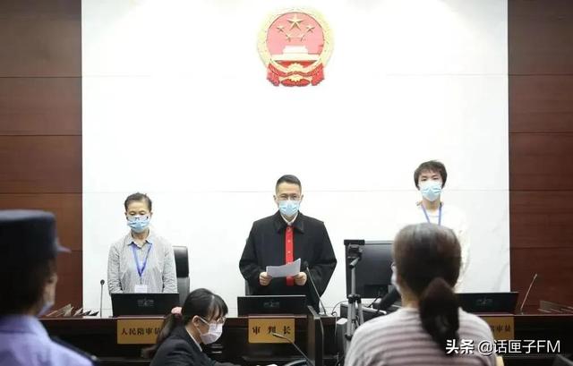 不系狗绳大打出手、处理狗尿引发火灾，他们都被判了刑