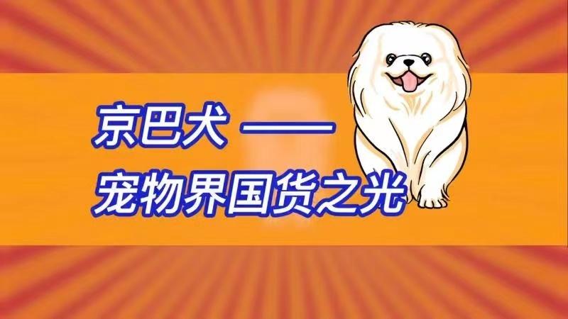 我养中华田园犬怎么了？分分钟美哭你！