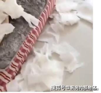 狗狗犯错遭主人教育，狗狗竟听得睡着了，让主人十分尴尬