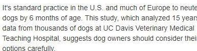 15年几千只狗研究，中大型犬1岁前绝育得癌症关节疾病几率更高