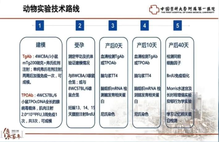 甲状腺疾病对后代智力发育有影响？单忠艳教授告诉你答案