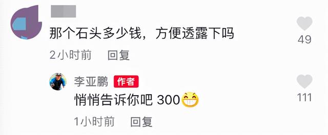 李亚鹏正面回应质疑，否认挖走李子柒团队，花300元买石头满脸笑