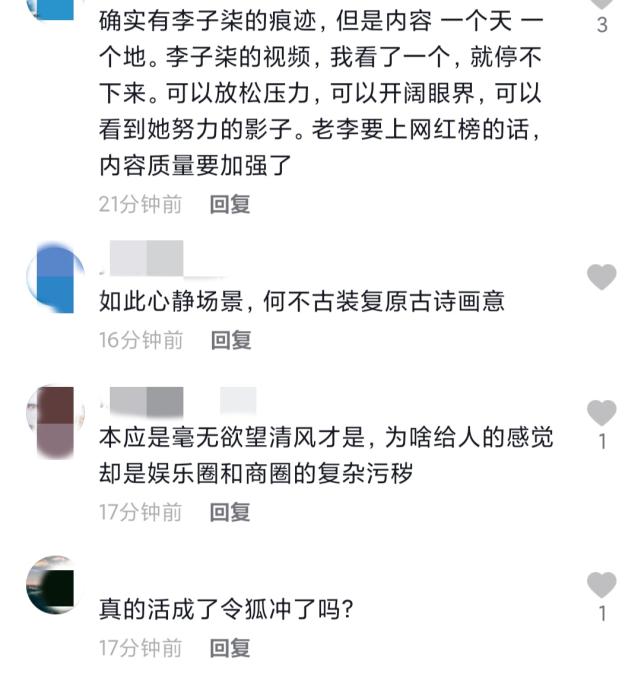 李亚鹏否认挖走李子柒团队，转行做网红数据一般，视频被指东施效颦