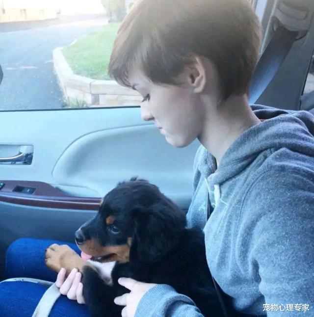 奶奶说不喜欢烈性犬，2年后却让孩子们酸了：这是当孙子在养？