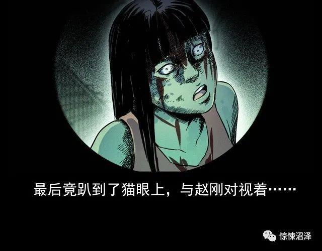 恐怖漫画，楼下的女人，趴在猫眼上与主人对视的可怕女人