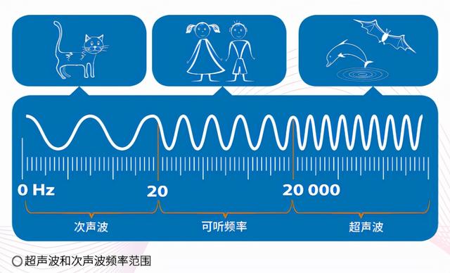 家里的狗为何总是对着空气狂吠？它们真的能看到人看不到的东西？