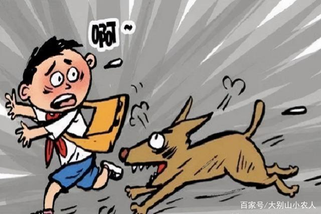 痛心！福建71岁老人被恶犬拖行咬死，孩子遇到恶犬该怎么办？