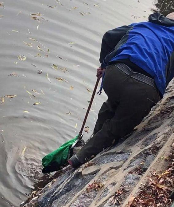 流浪泰迪掉进河里，有人围观无人管，大爷看不下去冒着危险救狗