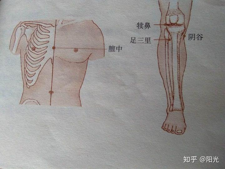 气虚体质的人看过来