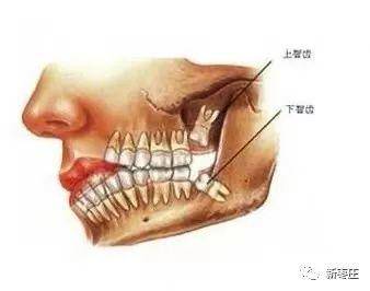 记者聊点儿啥|其实你一直在无效刷牙？快看看如何正确刷牙