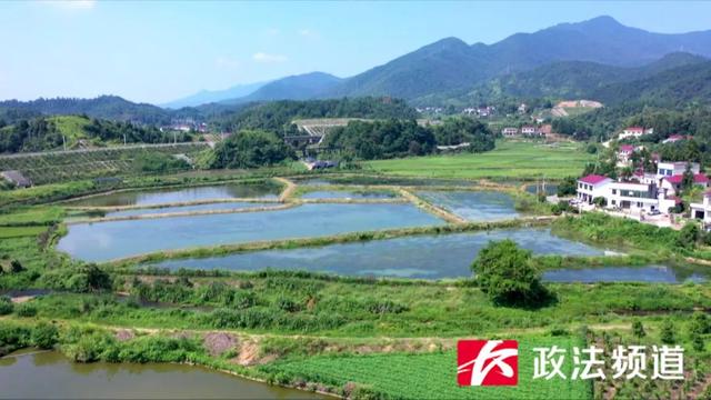 “湘”遇丰收节?幸福奔小康① | 浏阳这个村里养出了“澳洲小龙虾”