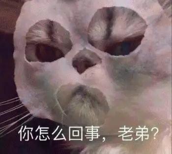 “小区流浪猫太讨厌，我要一脚把它踢飞”