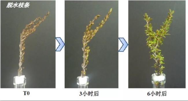 ? 护肤行业真大佬：全国皮肤科第一，一个面霜做 3 年，推迟又推迟