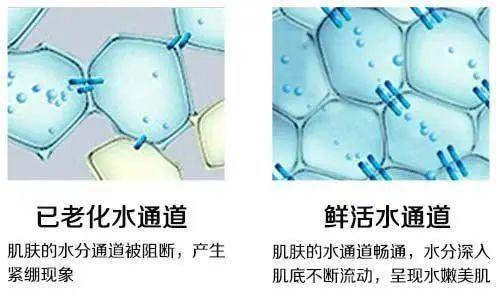 ? 护肤行业真大佬：全国皮肤科第一，一个面霜做 3 年，推迟又推迟