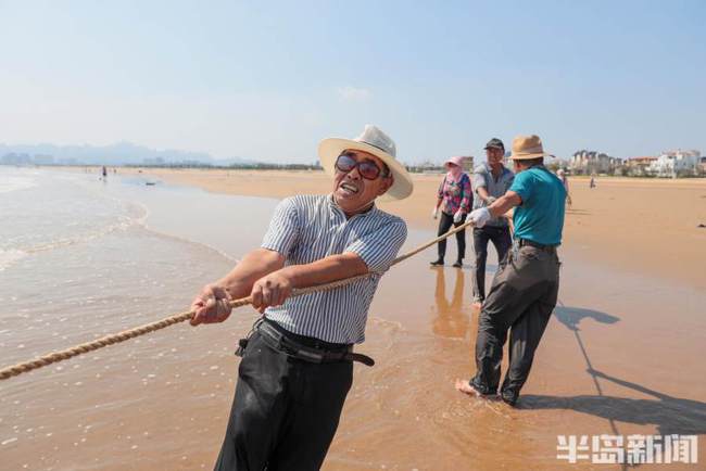 半岛聚焦 I 鹅鹅鹅，国宝“五龙鹅”背后故事多；人欢鱼跃，700米大网拉起来…记者带你探丰收