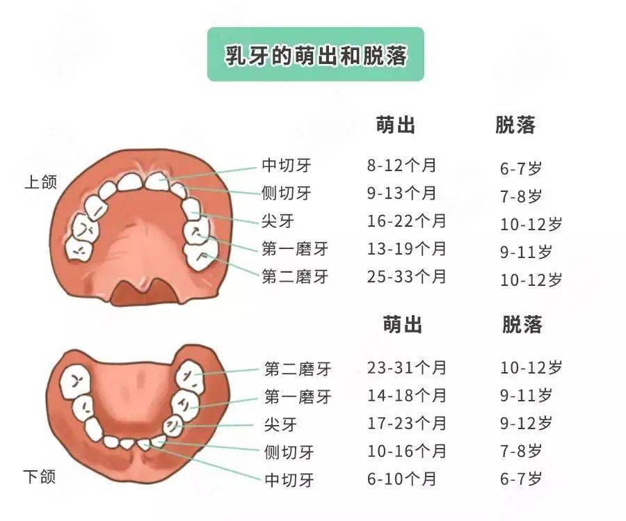 儿童换牙期几点重要提醒