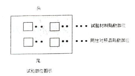 一只兔子，能做什么？