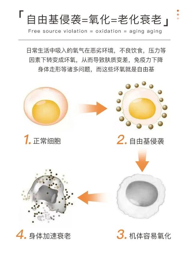 太阳一晒又老又黑！抗氧化界明星成分“虾青素”帮你抵御紫外线侵害