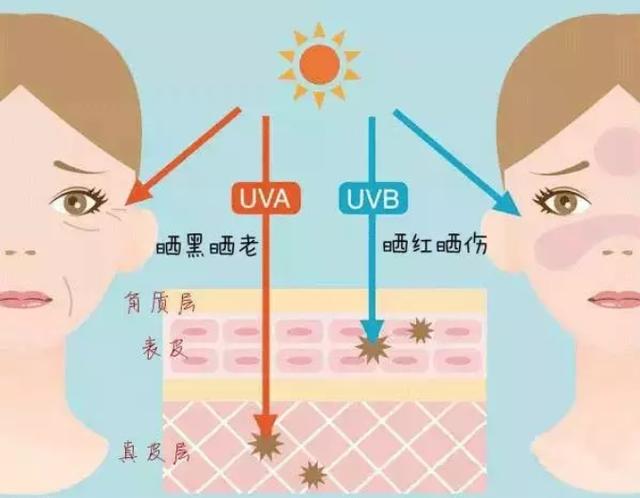 太阳一晒又老又黑！抗氧化界明星成分“虾青素”帮你抵御紫外线侵害