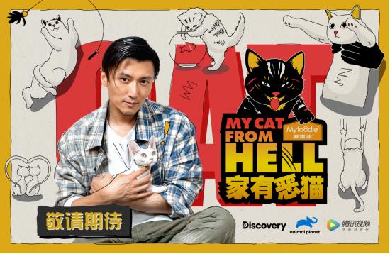 中国版《家有恶猫》播出 跟着谢霆锋一起云撸猫