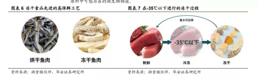 进阶、跨界、再教育，千亿宠物粮市场花样氪金？