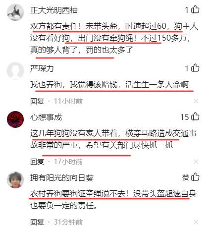 不戴头盔超速！男子“骑车撞狗”侧翻死亡：狗主人被索赔157万！