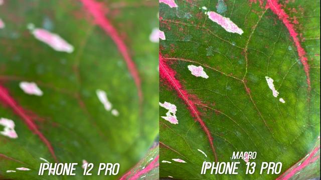 iPhone13Pro和iPhone12Pro实拍对比：长焦、微距均有较大升级