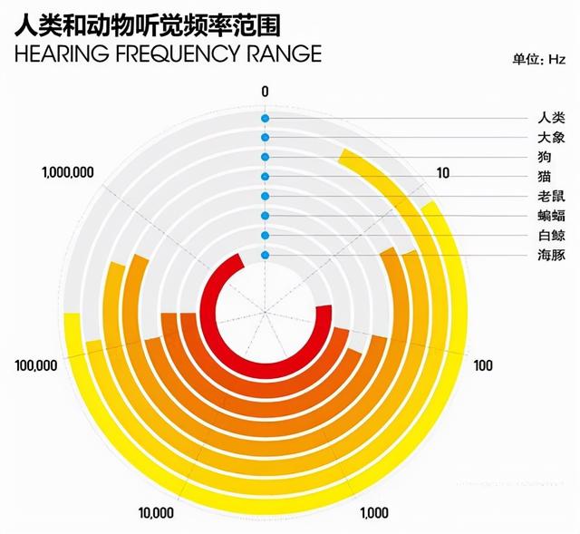 物业都说抓不完！南宁一小区惊现眼镜蛇银环蛇，养猫养狗能防蛇吗