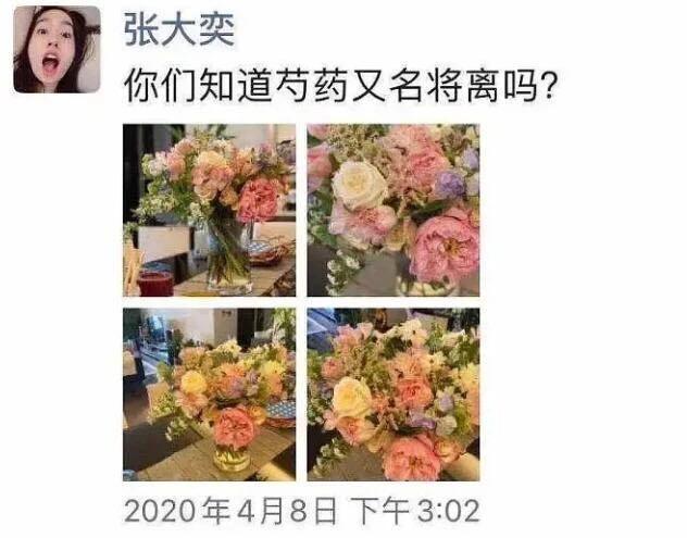 总裁夫人撕小三涨粉20万：忍一次子宫肌瘤，退一步乳腺癌发