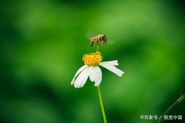 原来，男人的后半辈子，拼的不是事业