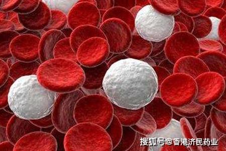 Venetoclax+阿扎胞苷治疗AML：显著降低了34%的患者死亡风险！