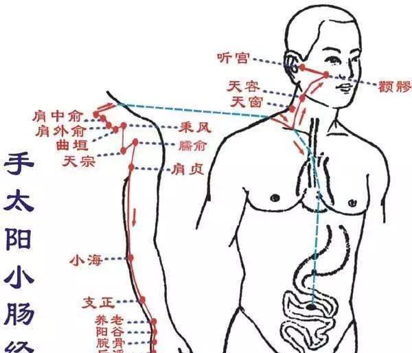 从打喷涕到癌症，只有9个步骤！原来，身体是这样防御疾病的！