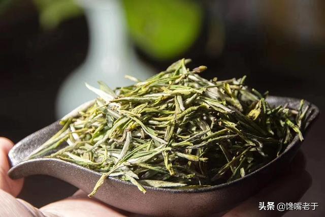 全国哪里的绿茶最好喝？这6个地方名气较大，看看有你家乡的吗？