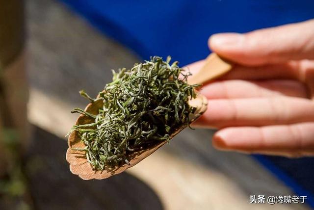 全国哪里的绿茶最好喝？这6个地方名气较大，看看有你家乡的吗？