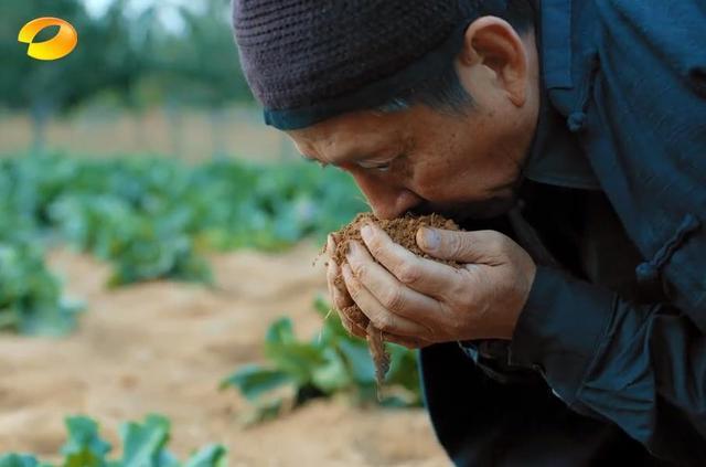 《温暖的味道》：最心机的人曝光，孙光明被利用，老祖奶道破关键？