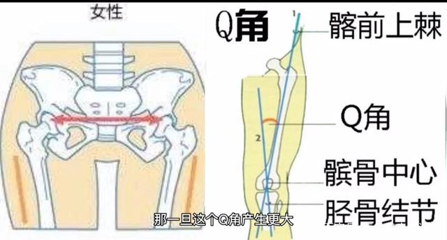 膝盖万能康复动作，简单容易操作