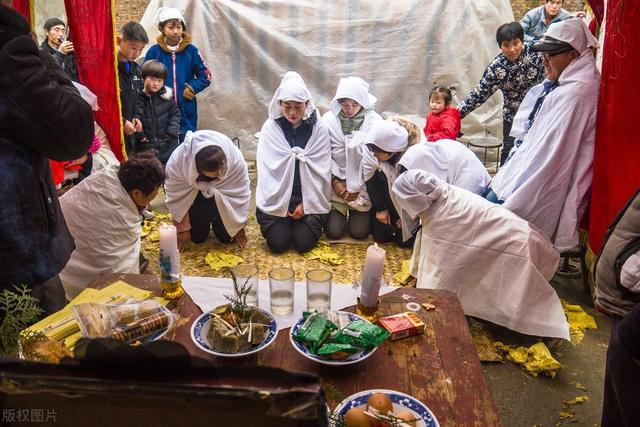 婆媳吵架变成恐怖故事，传闻起尸搅得满城风雨，关键竟是只猫？