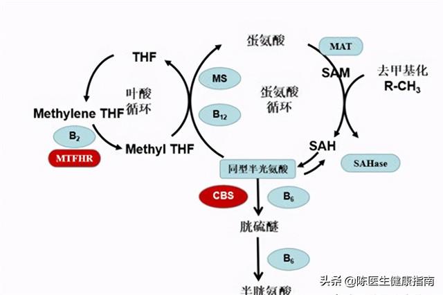 甲钴胺：不只是修复神经，还可以用于这4种常见病，见效快又稳定