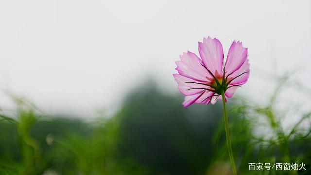 让男人一直爱你的好方法：给他这3种感觉