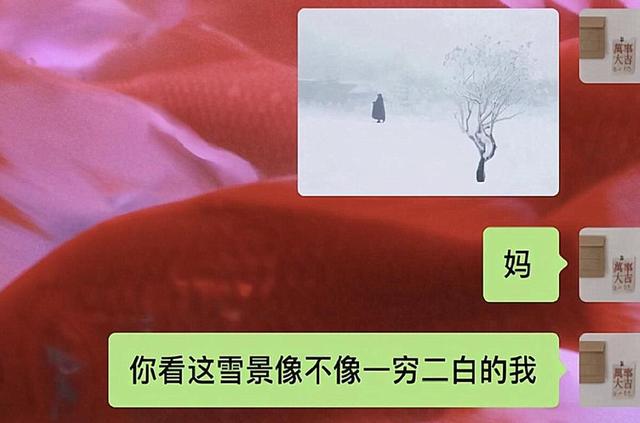 “小螃蟹没钳了”大学生“花式要生活费”走红，母亲回复令人捧腹