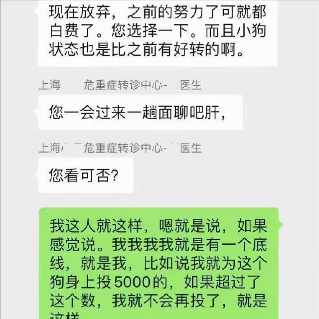 给宠物狗开眼角？因发炎导致小狗离世后，狗主人依旧不知悔改