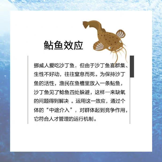 经典的几种心理效应，你知不