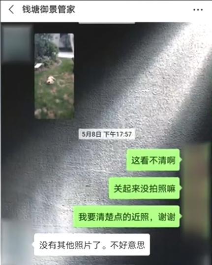 孩子被狗咬伤，物管及时将狗处理掉，孩子父亲却找上了物管的麻烦